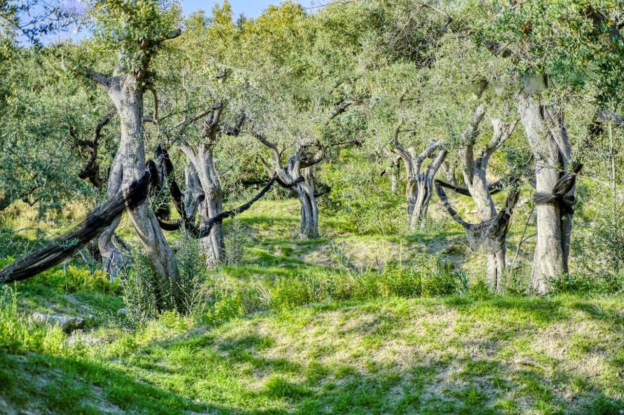 Villa Lorelei Massa Lubrense Zewnętrze zdjęcie